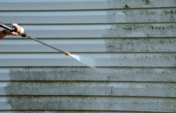 Best Brick and Stone Cleaning in Little Falls, MN