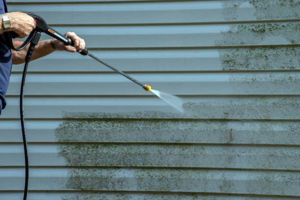 Best Driveway Cleaning and Restoration in Little Falls, MN