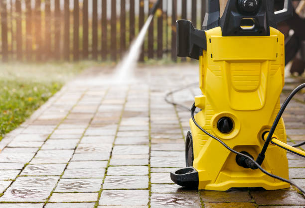 Best Roof Cleaning and Mildew Removal in Little Falls, MN